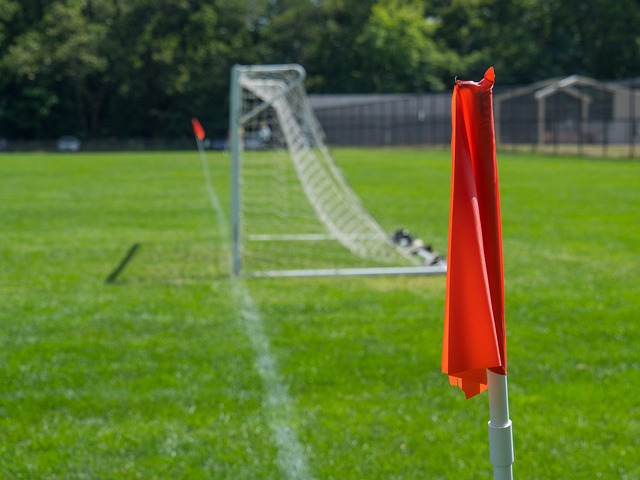 的电影票房 的电影票房