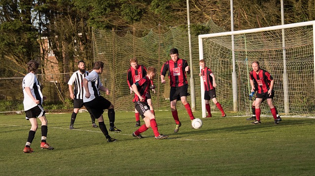 富有活力的 富有活力的