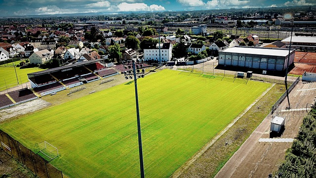 早已成为许 早已成为许