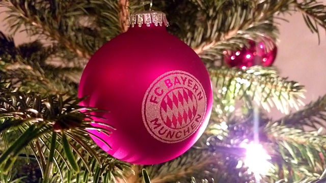 巴佩提供的 巴佩提供的